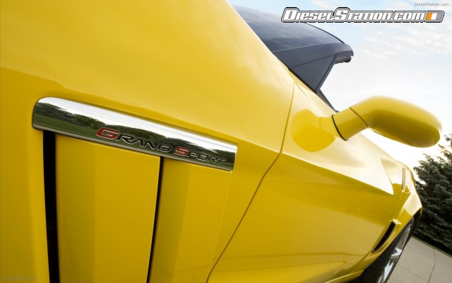 vette