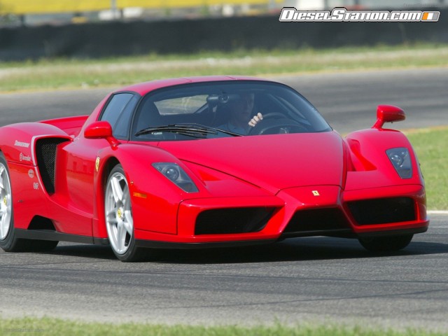 enzo