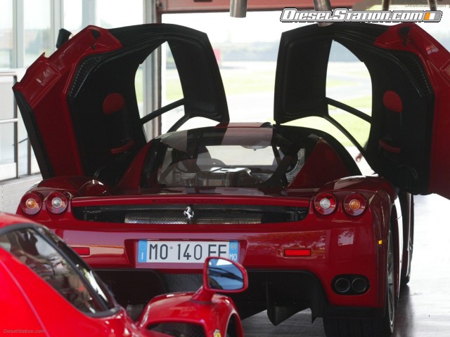 enzo
