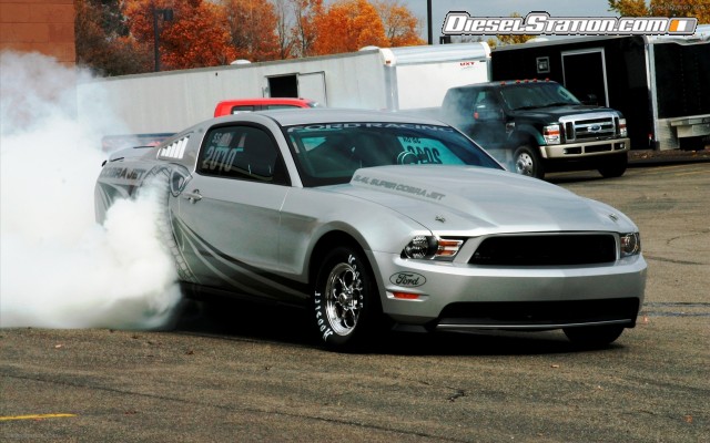 mustang