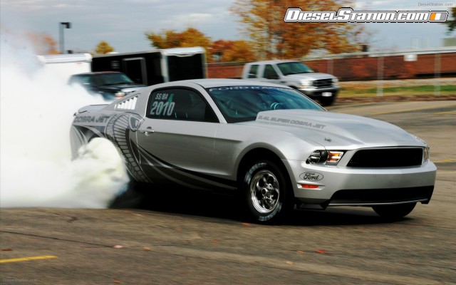 Mustangs