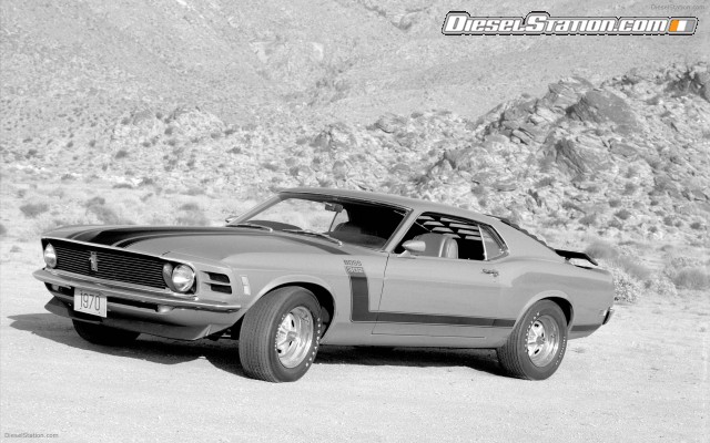 Mustangs
