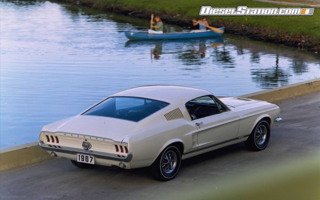 Mustangs
