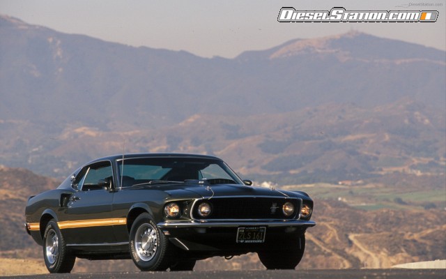 Mustangs