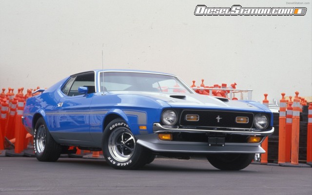 Mustangs
