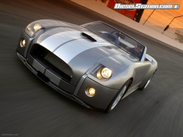 shelby