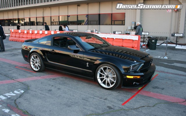 shelby