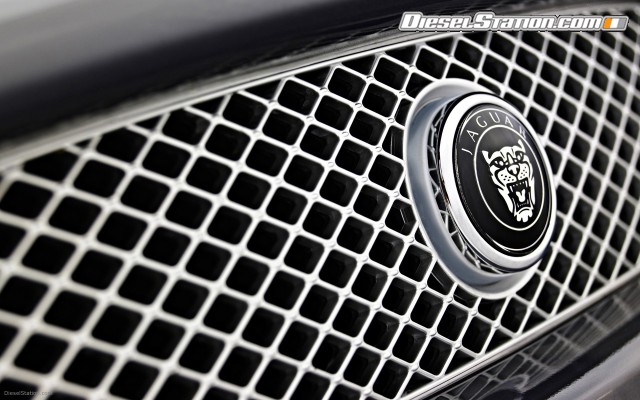 jaguar