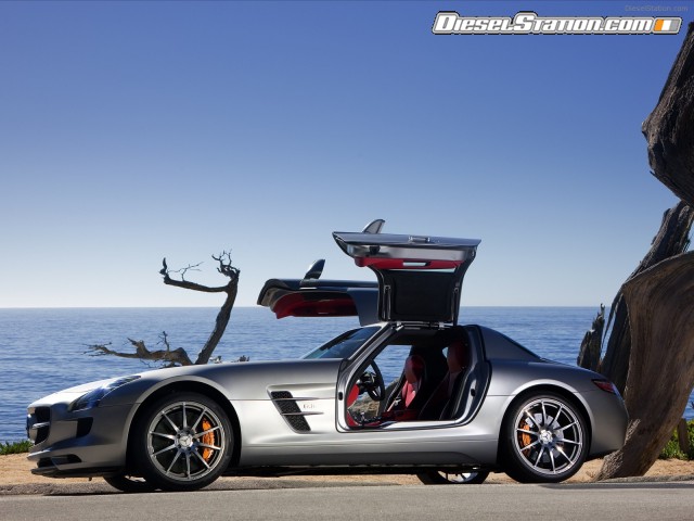 gullwing
