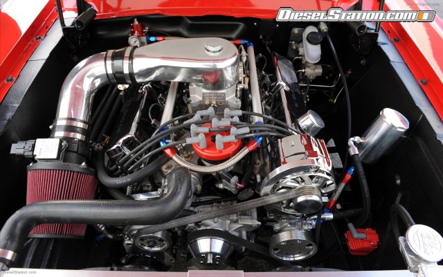 Stangs