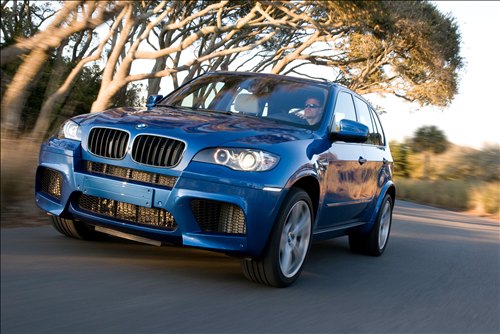 Car Bmw 2010