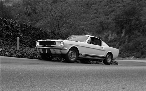 Ford Shelby GT350 Mustang 1964