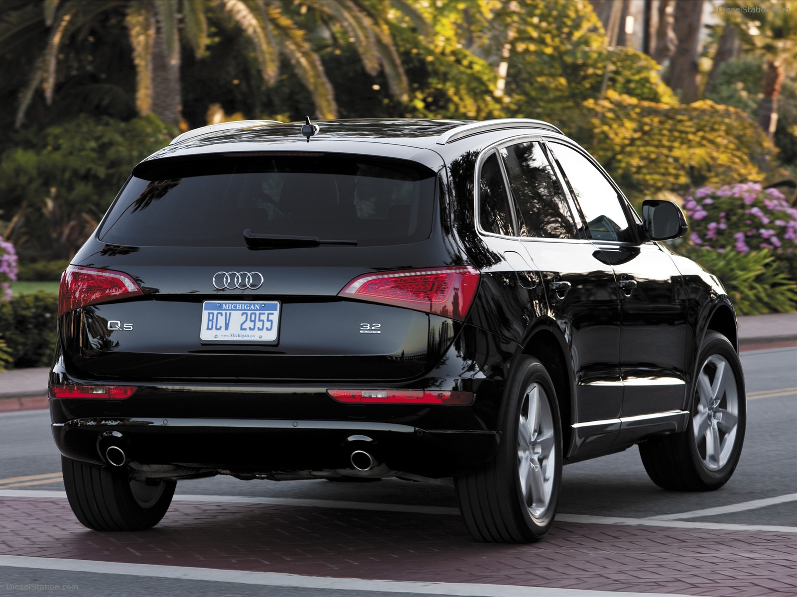 2010 Audi on 2010 Audi Q5 Exotic Car Image  04 Of 20   Diesel Station