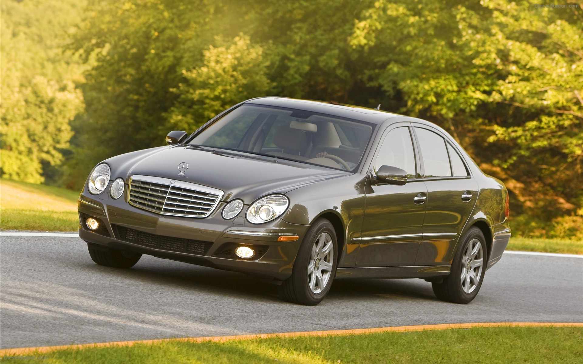 2009 Mercedes e320 bluetec sedan #5