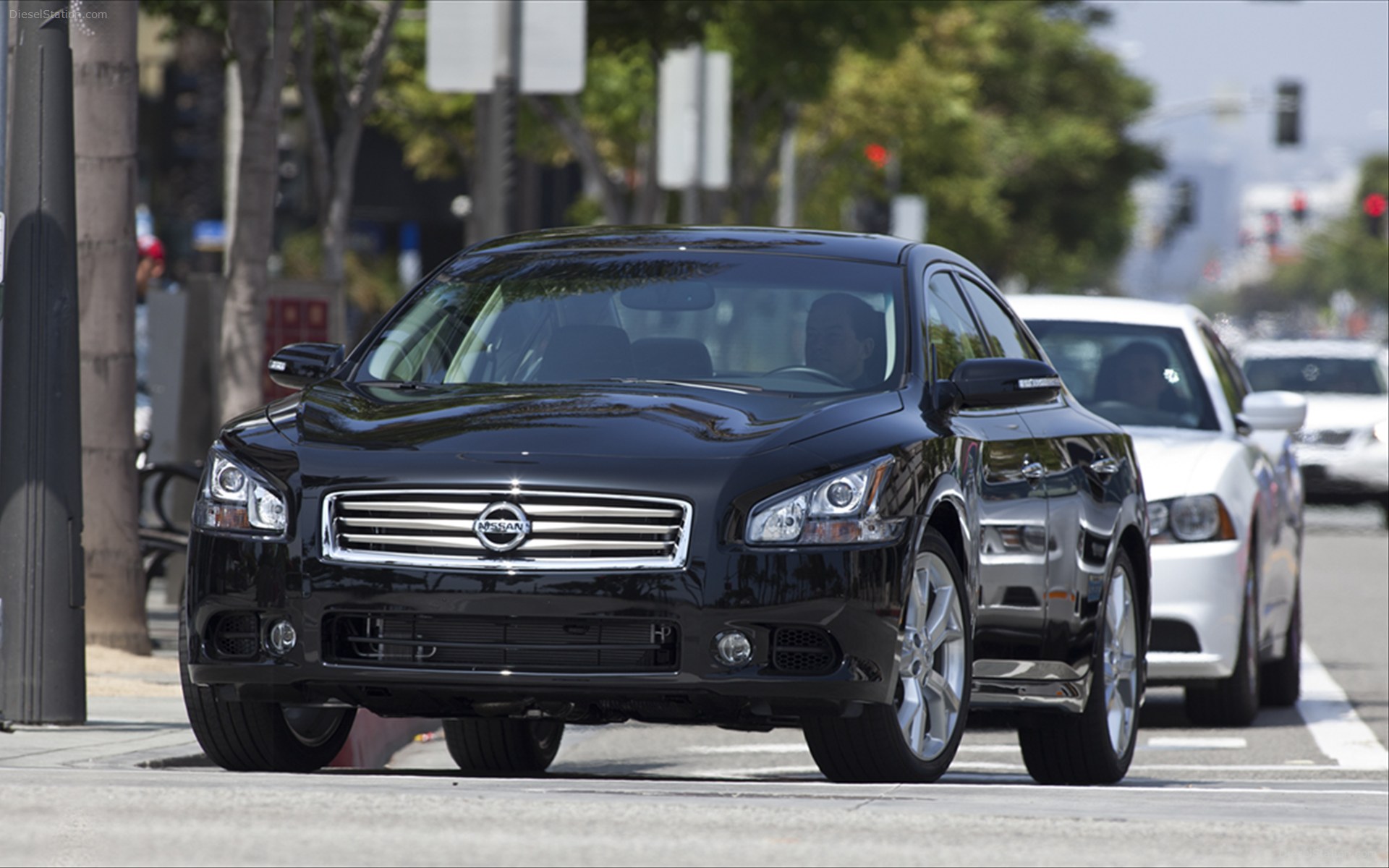 Nissan maxima diesel 2013 #10