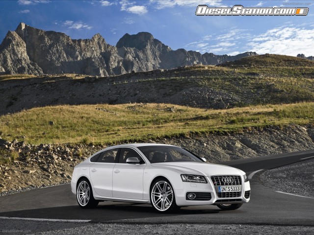 Audi 2011 S5 Sportback Picture #13 Audi 2011 S5 Sportback Picture #13