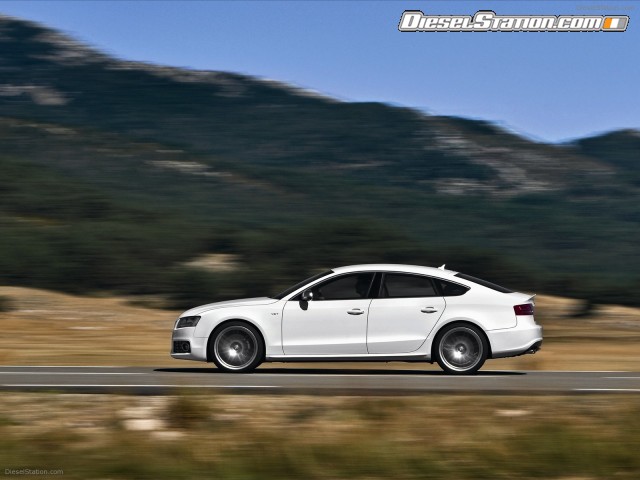 Audi 2011 S5 Sportback Picture #8 Audi 2011 S5 Sportback Picture #8