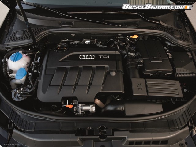 Audi A3 TDI 2011 Picture #21 Audi A3 TDI 2011 Picture #21