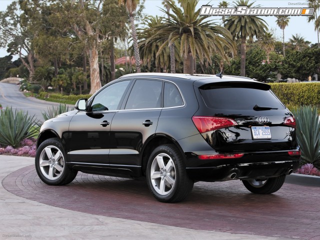 Audi Q5 2010 Picture #9 Audi Q5 2010 Picture #9