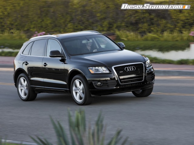 Audi Q5 2010 Picture #1 Audi Q5 2010 Picture #1