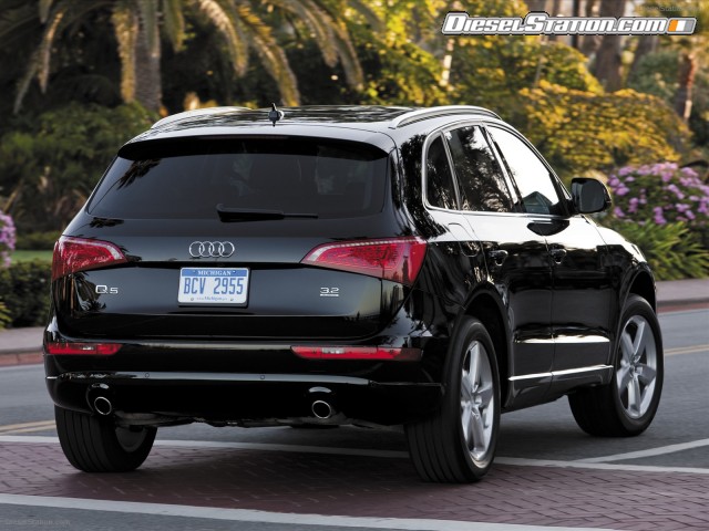 Audi Q5 2010 Picture #18 Audi Q5 2010 Picture #18