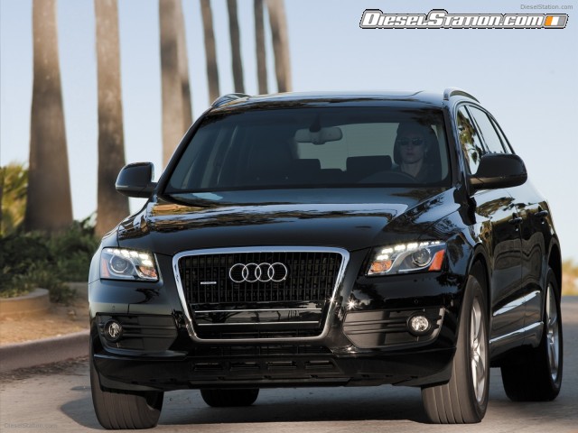 Audi Q5 2010 Picture #10 Audi Q5 2010 Picture #10