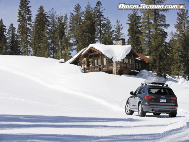 Audi Q5 2010 Picture #7 Audi Q5 2010 Picture #7