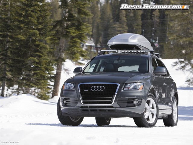 Audi Q5 2010 Picture #14 Audi Q5 2010 Picture #14