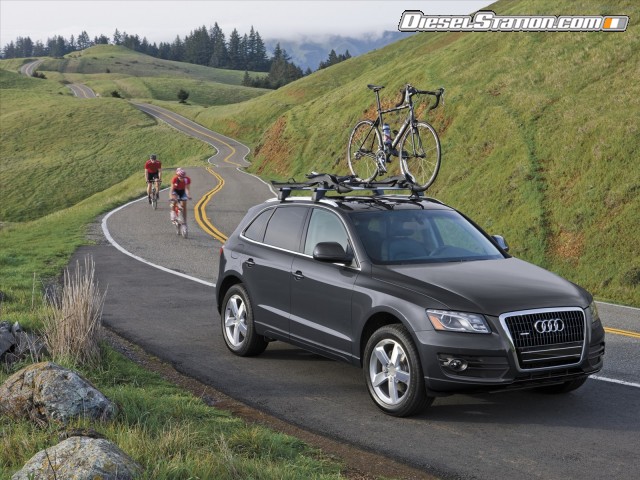 Audi Q5 2010 Picture #4 Audi Q5 2010 Picture #4