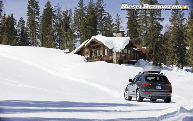 Audi Q5 2010 Widescreen Picture #15 Audi Q5 2010 Widescreen Picture #15