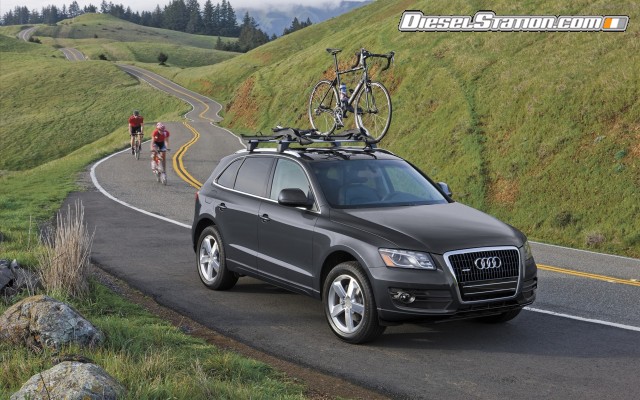 Audi Q5 2010 Widescreen Picture #16 Audi Q5 2010 Widescreen Picture #16