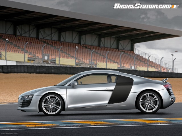 Audi R8 Picture #11 Audi R8 Picture #11