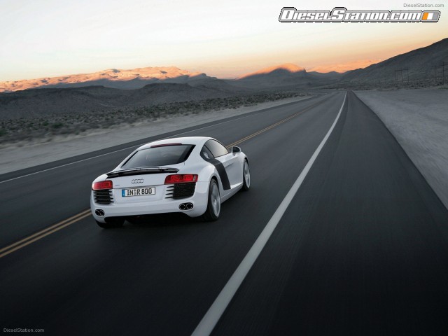 Audi R8 Picture #157 Audi R8 Picture #157