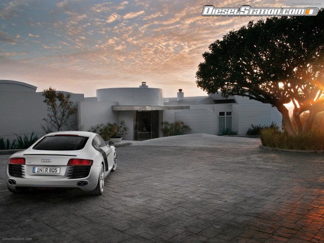 Audi R8 Picture #108 Audi R8 Picture #108