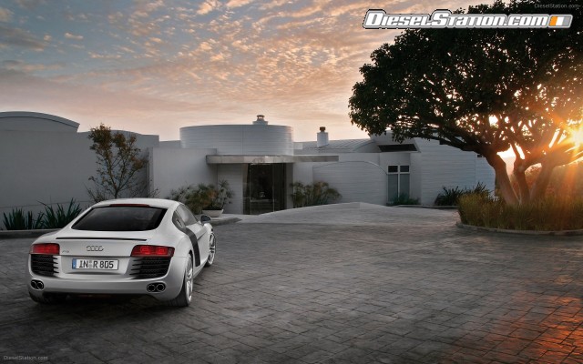 Audi R8 Widescreen Picture #116 Audi R8 Widescreen Picture #116