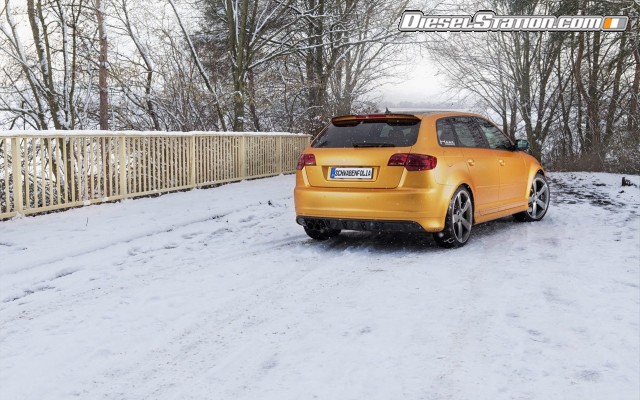 Audi RS3 Sportback Schwabenfolia Widescreen Picture #14 Audi RS3 Sportback Schwabenfolia Widescreen Picture #14