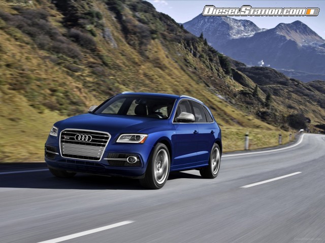 Audi SQ5 2014 Picture #20 Audi SQ5 2014 Picture #20