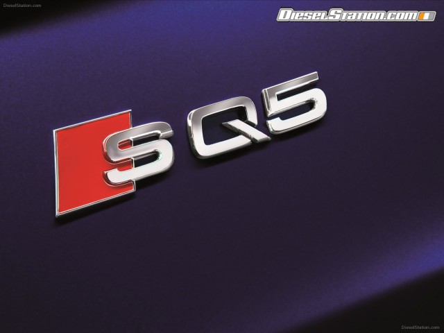 Audi SQ5 TDI 2013 Picture #39 Audi SQ5 TDI 2013 Picture #39