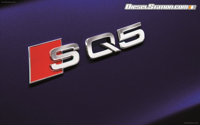 Audi SQ5 TDI 2013 Widescreen Picture #13 Audi SQ5 TDI 2013 Widescreen Picture #13