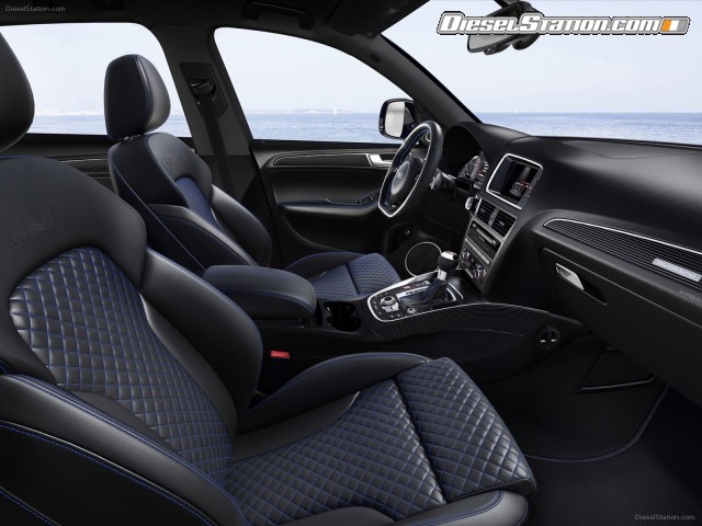 Audi SQ5 TDI Plus 2016 Picture #21 Audi SQ5 TDI Plus 2016 Picture #21