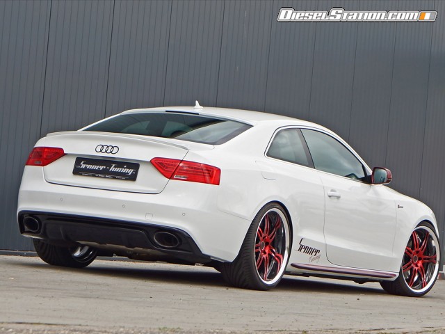 Audi Senner S5 Coupe 2014 Picture #12 Audi Senner S5 Coupe 2014 Picture #12