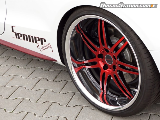 Audi Senner S5 Coupe 2014 Picture #15 Audi Senner S5 Coupe 2014 Picture #15