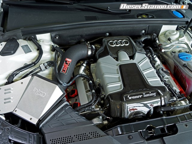 Audi Senner S5 Coupe 2014 Picture #19 Audi Senner S5 Coupe 2014 Picture #19