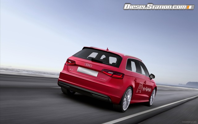 Audi e tron Concept 2013 Widescreen Picture #17 Audi e tron Concept 2013 Widescreen Picture #17