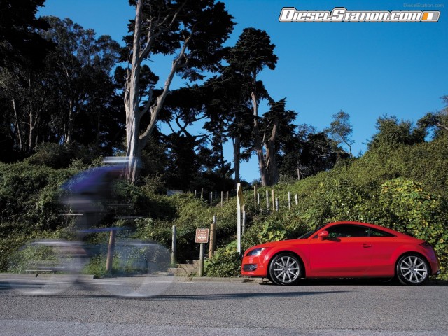 Audi tt coupe 2008 Picture #20 Audi tt coupe 2008 Picture #20