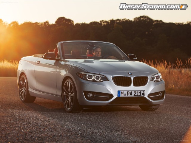 BMW 2 Series 228i Convertible 2015 Picture #8 BMW 2 Series 228i Convertible 2015 Picture #8
