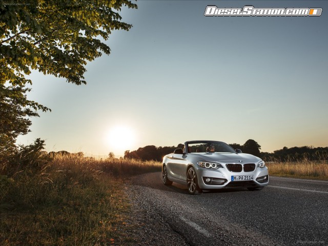 BMW 2 Series 228i Convertible 2015 Picture #34 BMW 2 Series 228i Convertible 2015 Picture #34