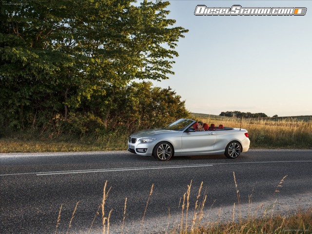 BMW 2 Series 228i Convertible 2015 Picture #2 BMW 2 Series 228i Convertible 2015 Picture #2