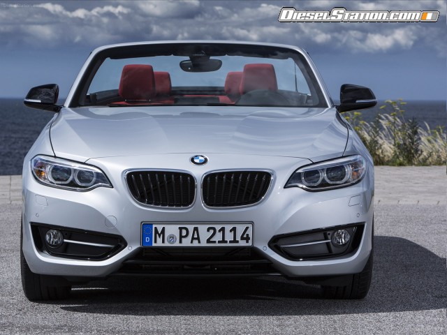 BMW 2 Series 228i Convertible 2015 Picture #25 BMW 2 Series 228i Convertible 2015 Picture #25