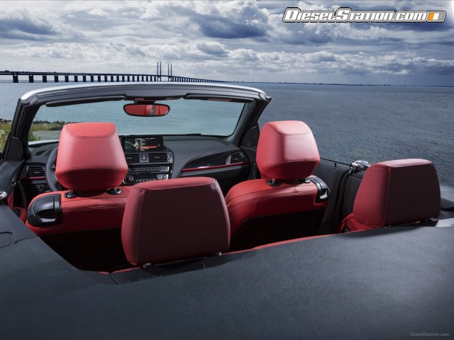 BMW 2 Series 228i Convertible 2015 Picture #40 BMW 2 Series 228i Convertible 2015 Picture #40